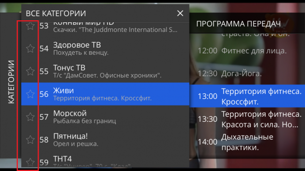 Stalkertv IOS избранное отмечаем каналы.png