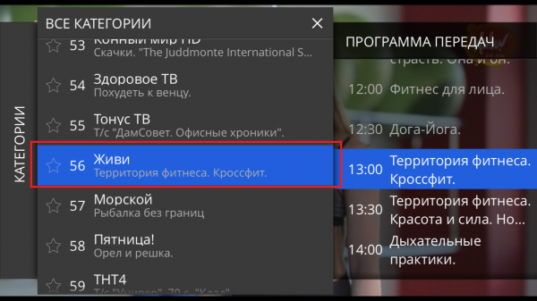 Stalkertv IOS телепрограмма выбор канала.png