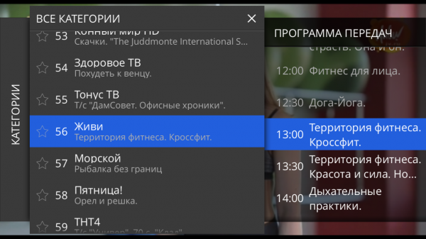 Stalkertv IOS портал меню просмотраТВ.png